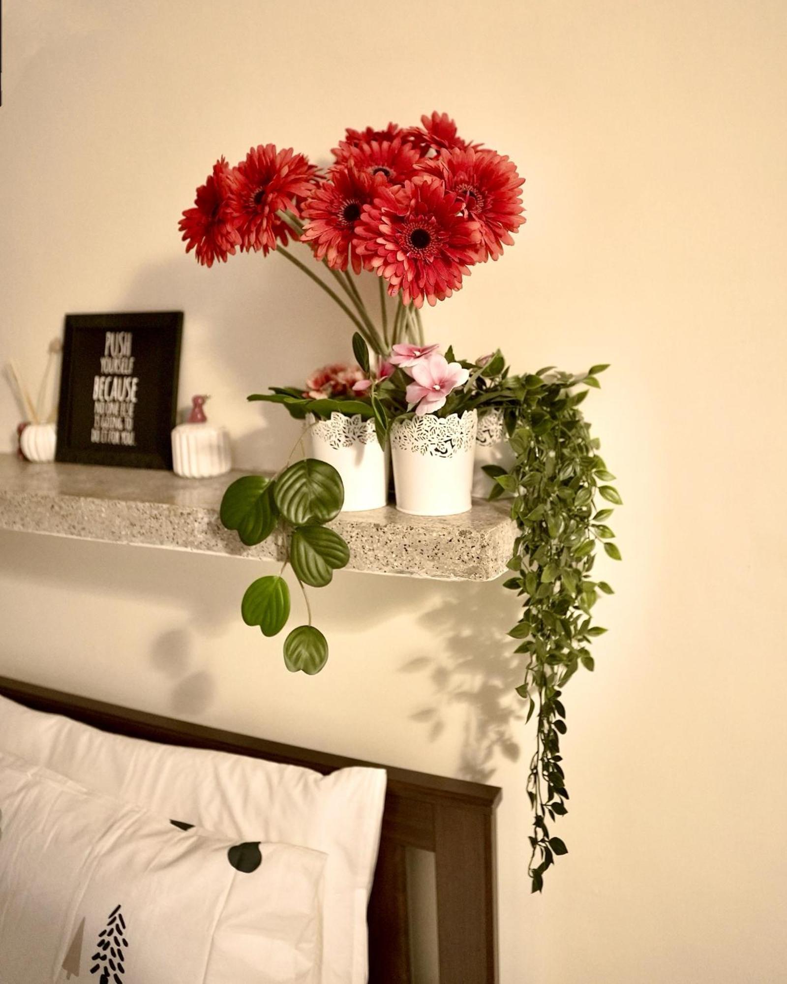 Bed & Breakfast Backpackers Den Chandigarh