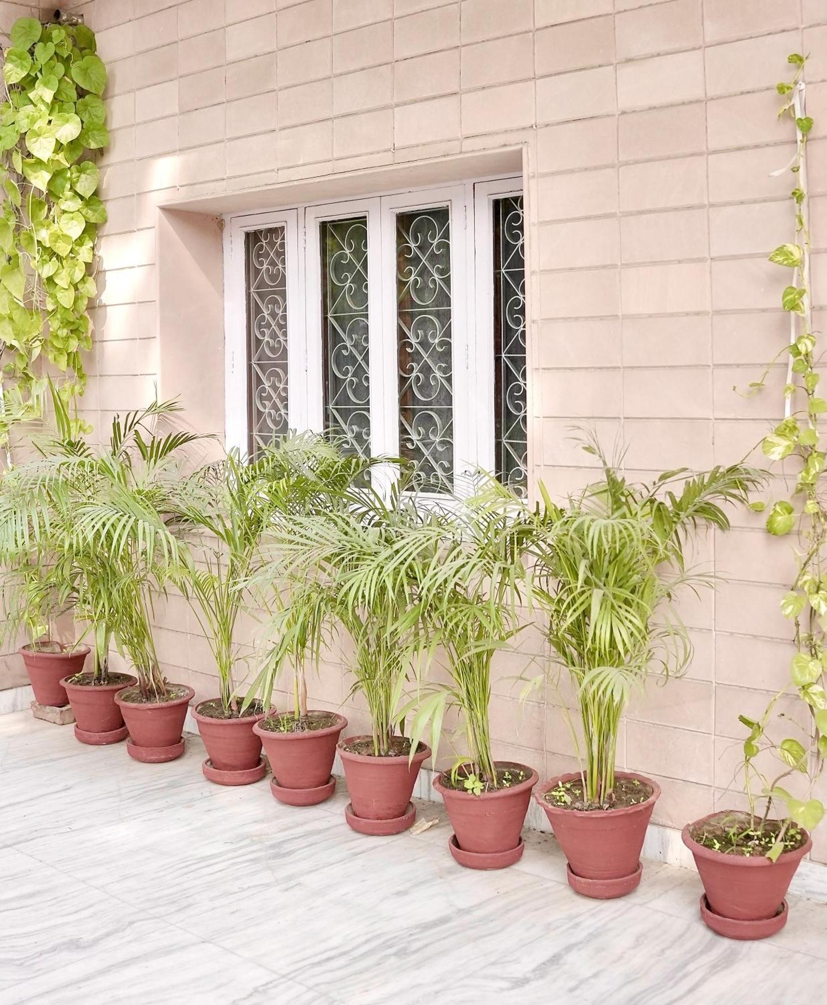 Backpackers Den Bed & Breakfast